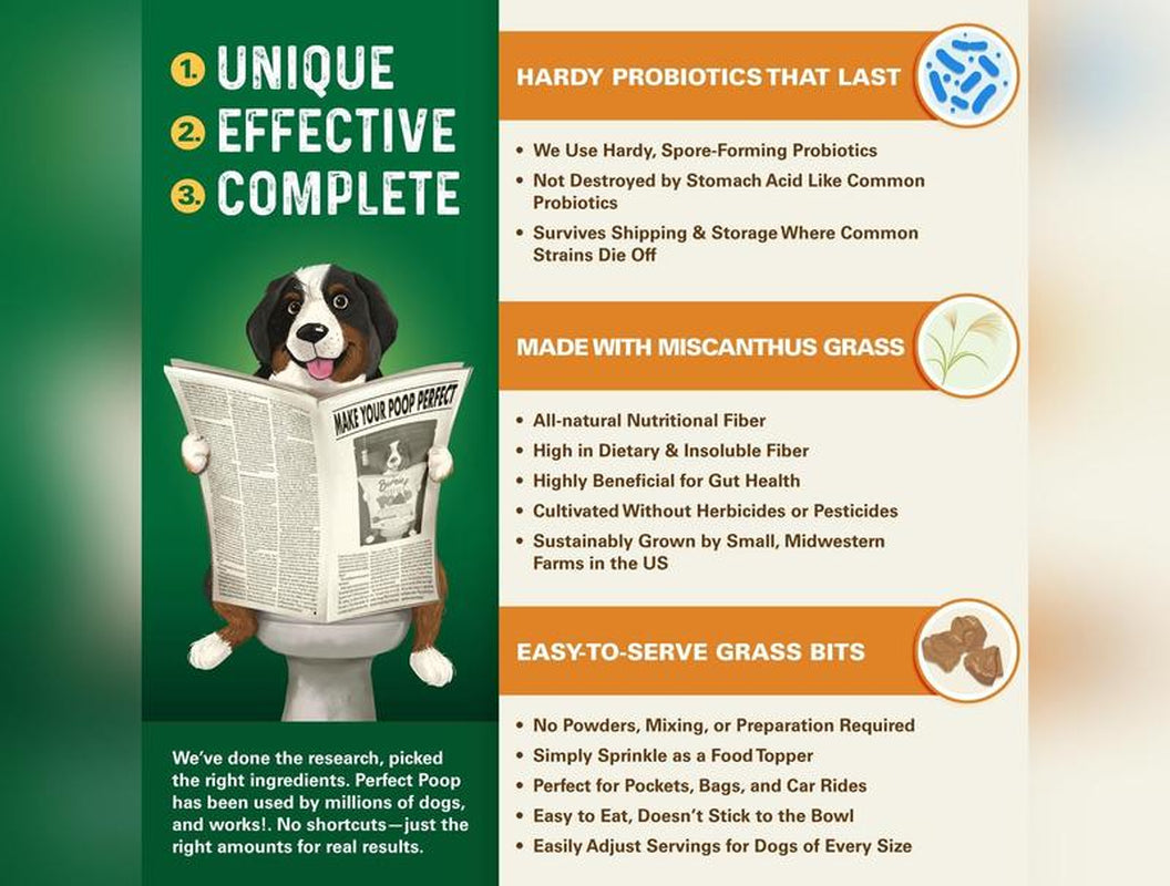 Bernie'S Perfect Poop