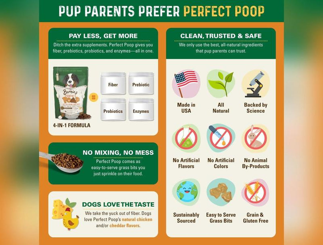 Bernie'S Perfect Poop