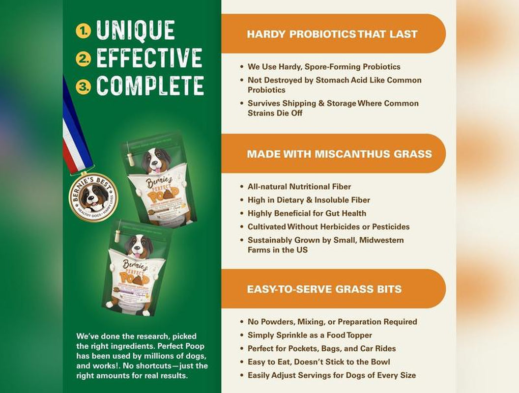 Bernie'S Perfect Poop