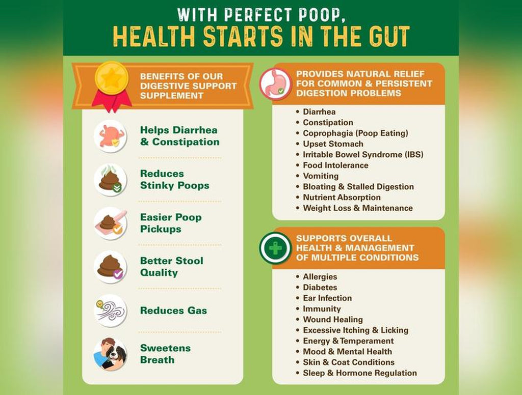 Bernie'S Perfect Poop